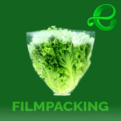 Bolsas de Polietileno 35+15x30+5x40 Conica / Lechuga Hidroponica