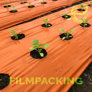 Folio Mulch Naranjo 1m de ancho x 500 metros