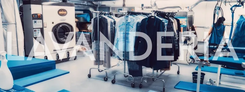 Bolsas Cuidado de Ropa y Lavanderia