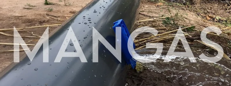 Mangas Plasticas